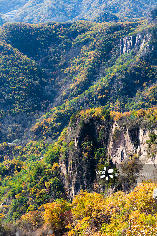 北京市怀柔区喇叭沟门百丈崖景区秋天悬崖树林黄叶悬崖峭壁图片素材