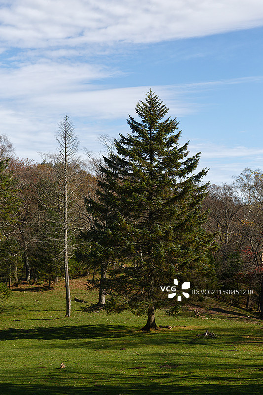 白山江源仙人谷图片素材