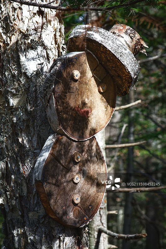 白山仙人谷创意森林图片素材
