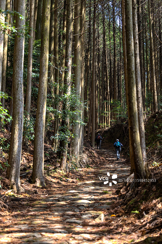 熊野古道 中边路图片素材