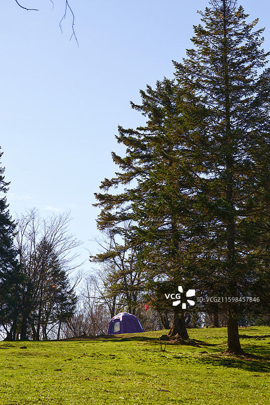 白山市仙人谷秋季图片素材