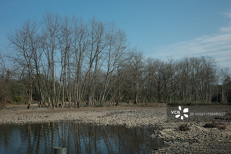 秋末冬初，林间斑斓未褪，一湾寒水蜿蜒，流淌着季节交替的静谧与诗意。图片素材
