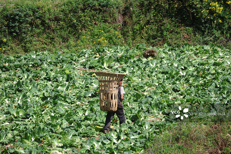 横竖都是世界第一花江峡谷大桥贵州黔西南州与安顺市交界图片素材
