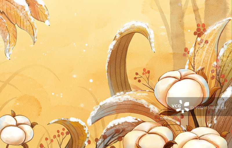 手绘霜降节气之棉花植物水彩治愈系横图背景图片素材