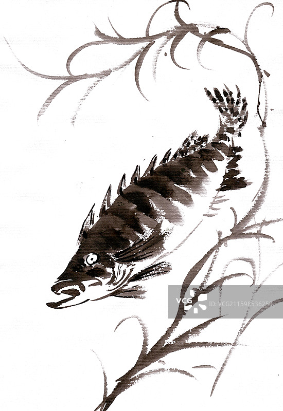 游鱼与水草图片素材