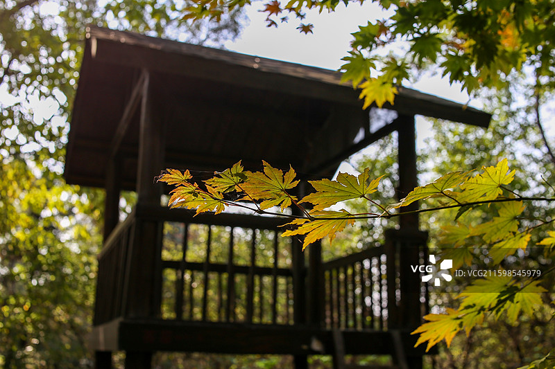 沈阳世博园—木兰园林树屋图片素材