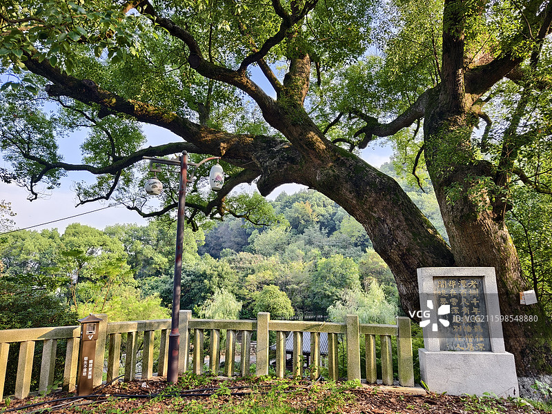 醴陵城市景观，渌江桥，渌江书院，醴陵门航拍图片素材