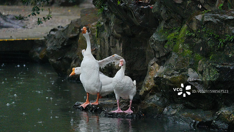 绍兴兰亭景区图片素材