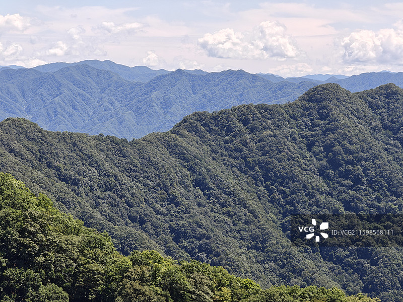 西安王顺山森林公园图片素材