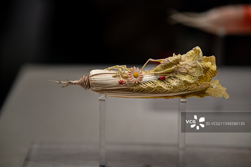 河南博物院象牙雕白菜草虫摆件图片素材