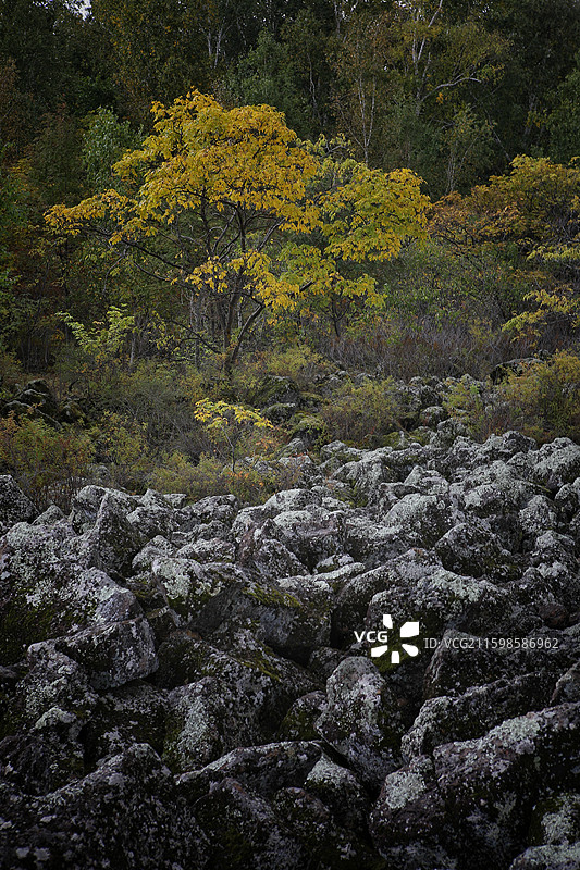 黑河五大连池“龙门石寨”火山石图片素材