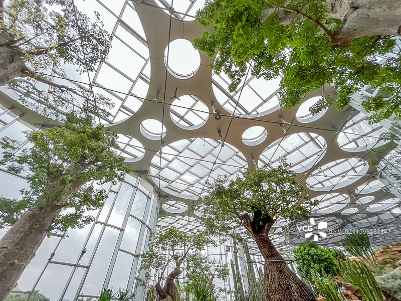 上海世博文化公园·上海温室花园1号馆海市沙洲景色图片素材