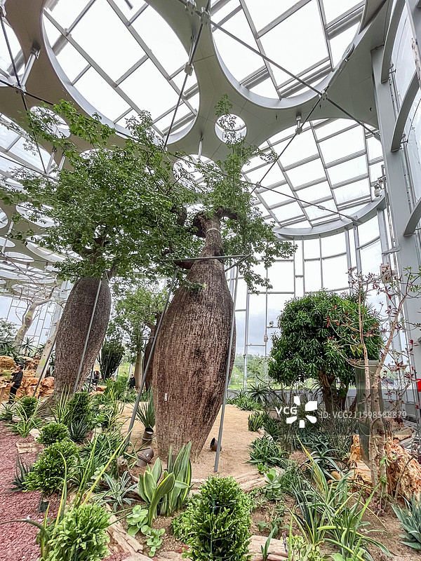 上海世博文化公园·上海温室花园1号馆海市沙洲景色图片素材