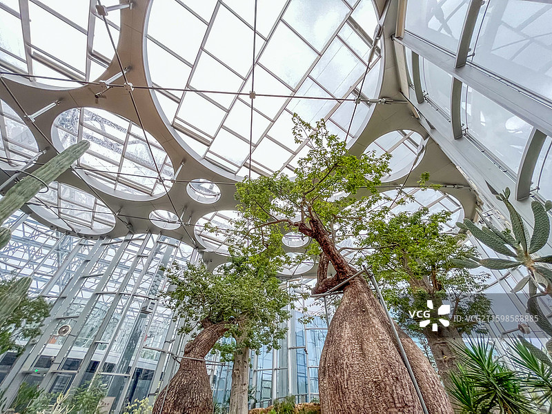 上海世博文化公园·上海温室花园1号馆海市沙洲景色图片素材