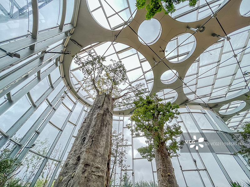 上海世博文化公园·上海温室花园1号馆海市沙洲景色图片素材