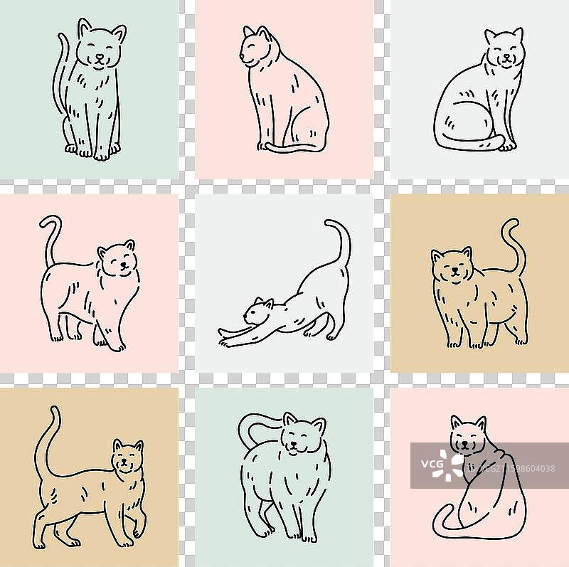 姿势和表情各异的可爱猫咪图片素材