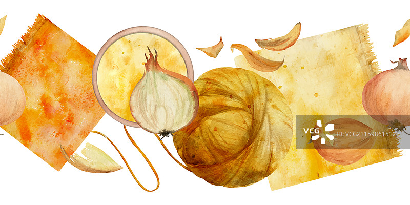 手绘水彩蔬菜洋葱着色图片素材