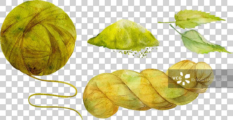 手绘水彩荨麻着色自然图片素材