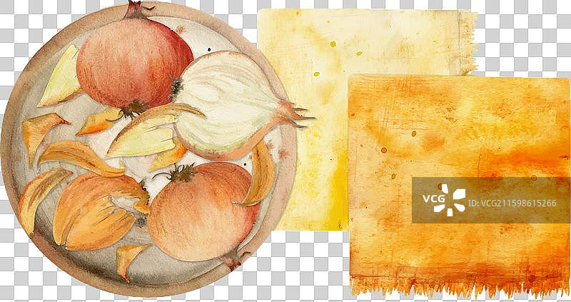 手绘水彩棕色洋葱着色图片素材