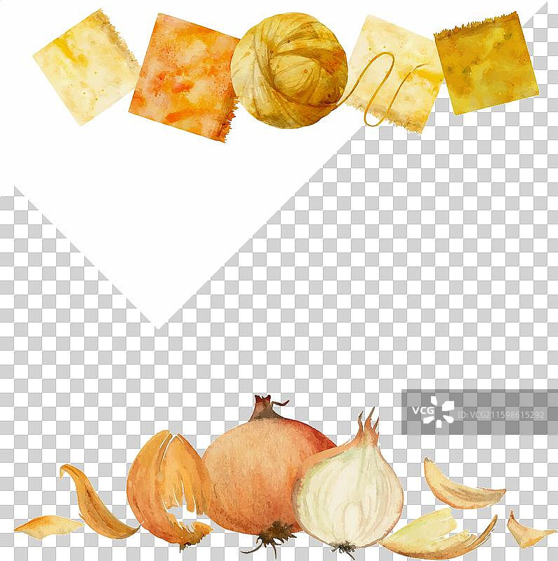 手绘水彩洋葱着色自然图片素材
