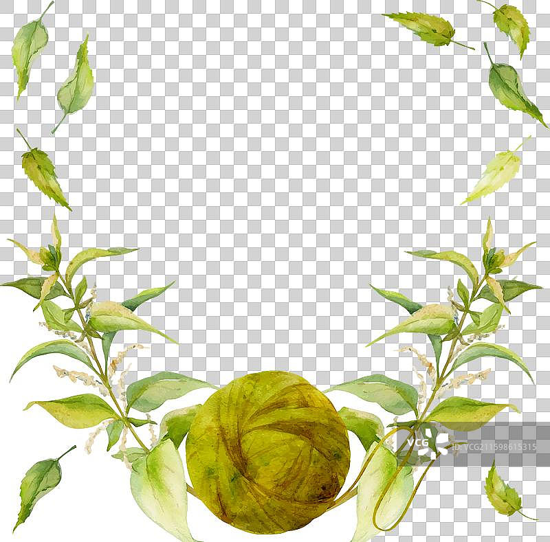 手绘水彩荨麻着色自然图片素材