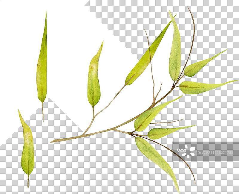 手绘水彩，黄色、绿色和棕色图片素材