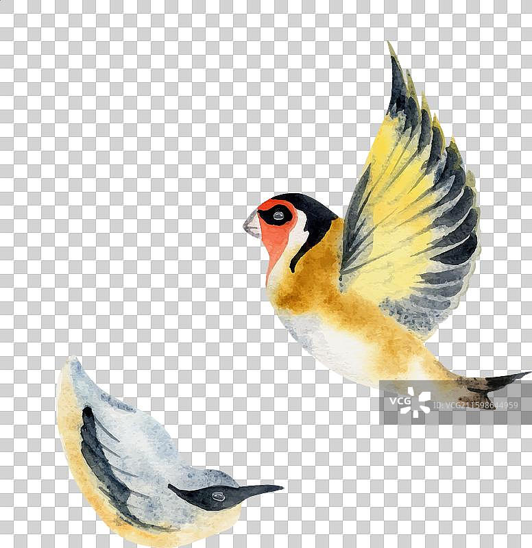 手绘水彩自然小鸟图片素材
