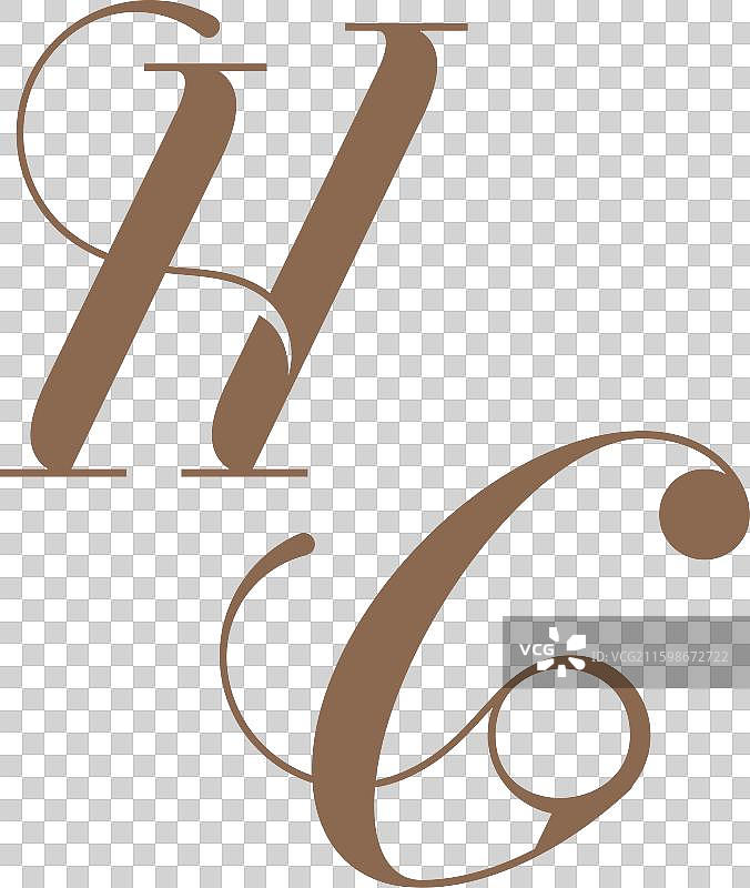 奢华优雅的首字母字母组合标志字母图片素材