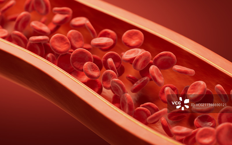 生物医学血管结构三维渲染图片素材