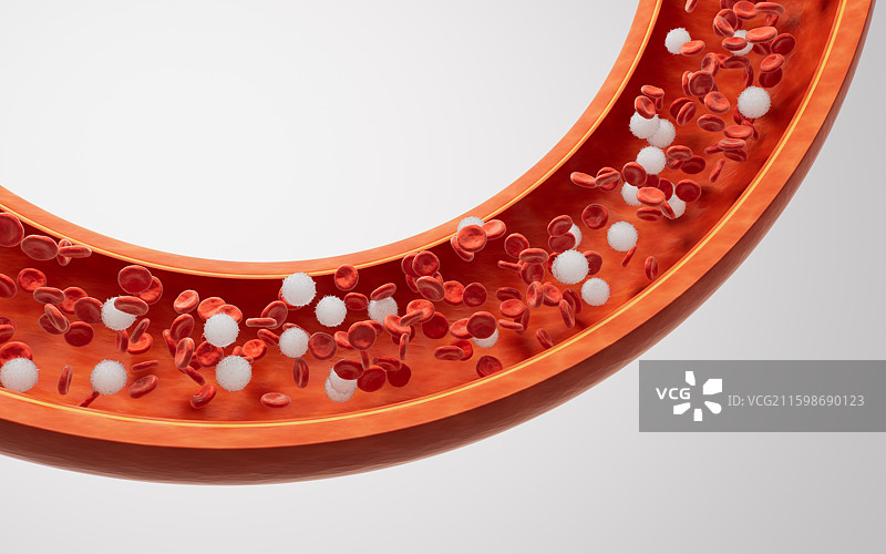 生物医学血管结构三维渲染图片素材