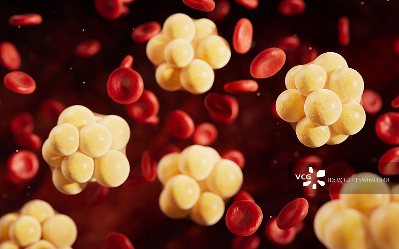 血液中的脂肪组织三维渲染图片素材