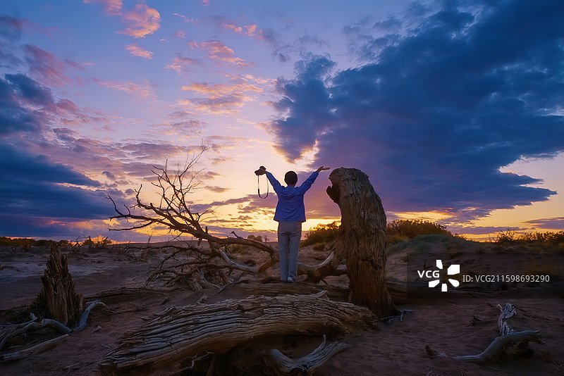 闯入金色童话！额济纳胡杨林的日落晚霞风光逆光人像美到窒息！！图片素材