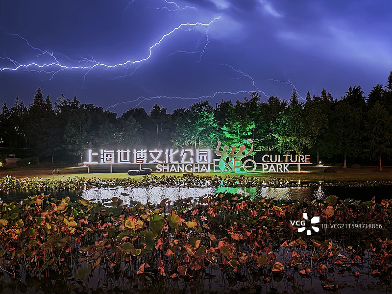上海世博文化公园秋天荷塘夜景闪电图片素材