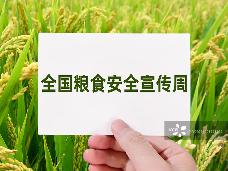 全国粮食安全宣传周图片素材