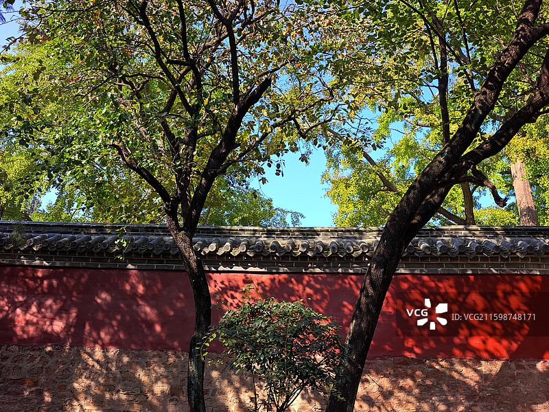 秋天，莒县浮来山风景区，定林寺图片素材
