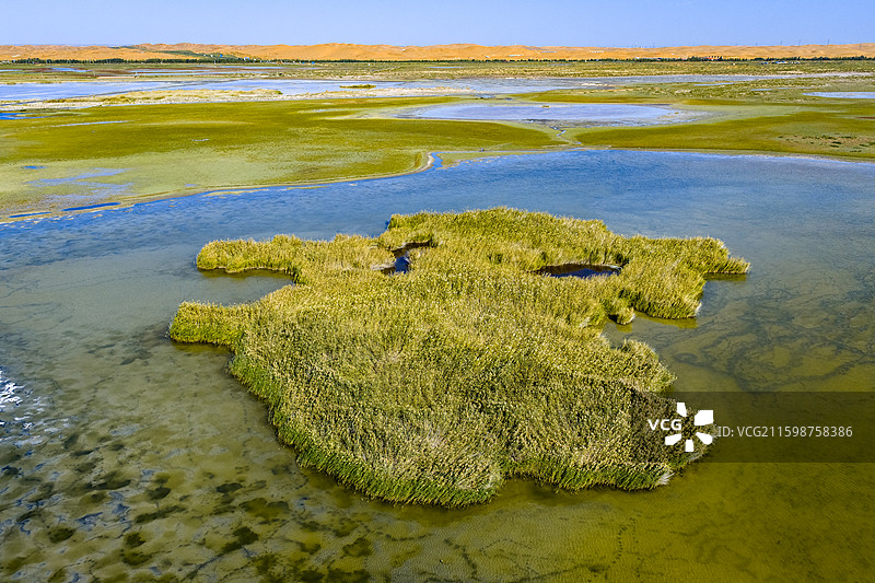 阿拉善通湖草原图片素材