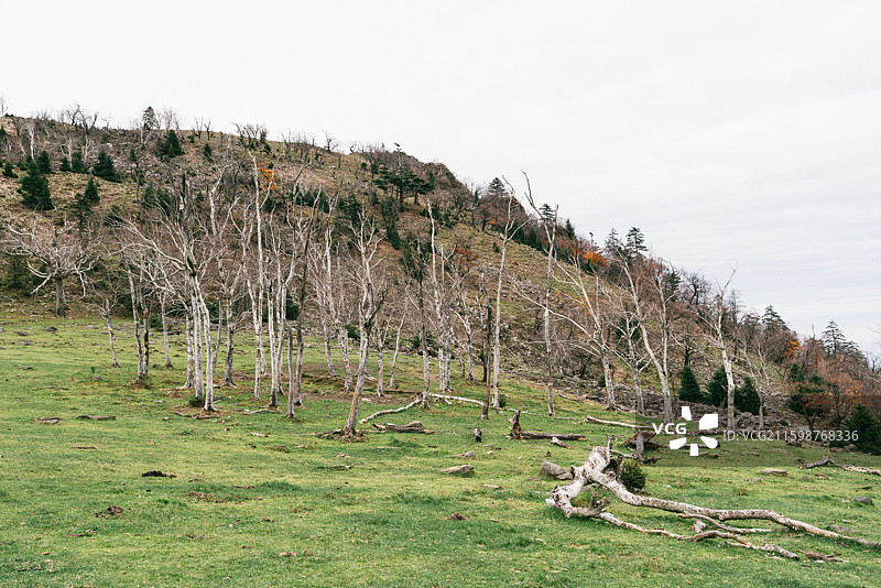 蛟河西土山秋日山峦壮丽风光图片素材