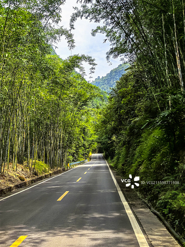 中国贵州遵义赤水市赤水丹霞旅游区佛光岩景区竹林掩映下的景区道路，赤水竹海林荫道，赤水丹霞风光图片素材