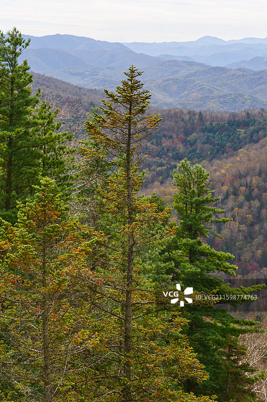 白山仙人谷秋季风光图片素材