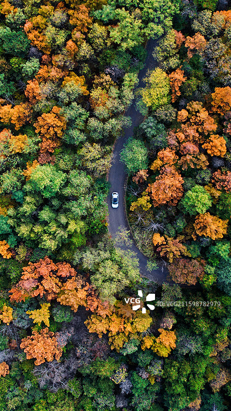 寻觅秋天图片素材