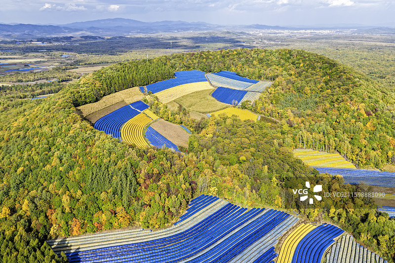 秋季，层林尽染，无人机航拍吉林省白山市靖宇县四方顶子山火山口东北人参种植基地全景。图片素材