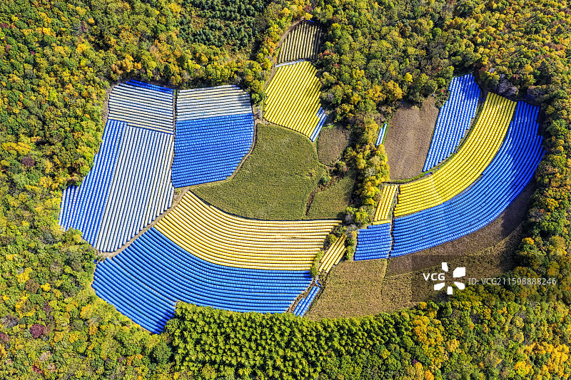 秋季，层林尽染，无人机航拍吉林省白山市靖宇县四方顶子山火山口东北人参种植基地全景。图片素材