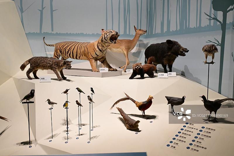 江西省博物馆图片素材