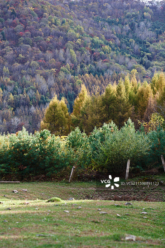 吉林江源仙人谷秋色图片素材
