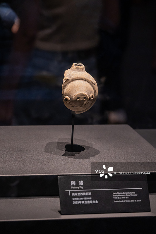 三星堆博物馆镇馆之宝：陶猪（商代）图片素材