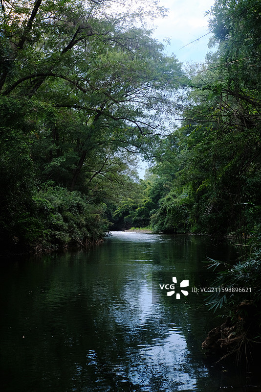 武夷山九曲溪图片素材