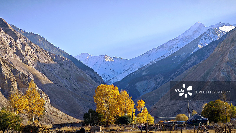 奥依塔格冰川  新疆克州冰川景观拍摄点 奥依塔格冰川是新疆克孜勒苏柯尔克孜自治州代表性冰川景观图片素材