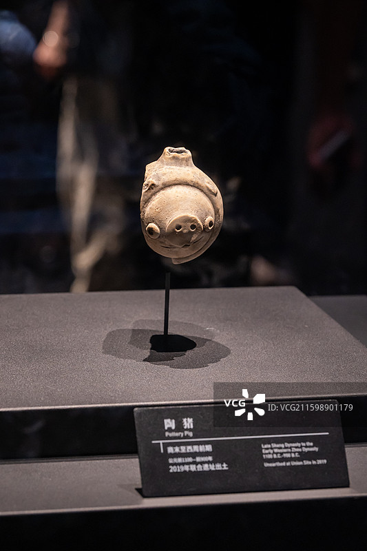 三星堆博物馆镇馆之宝：陶猪（商代）图片素材