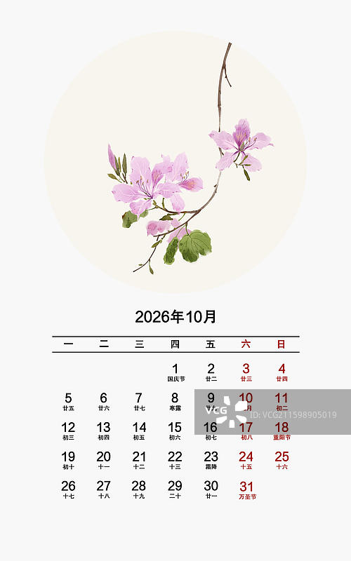 2026年花卉月份日历10月羊蹄甲图片素材