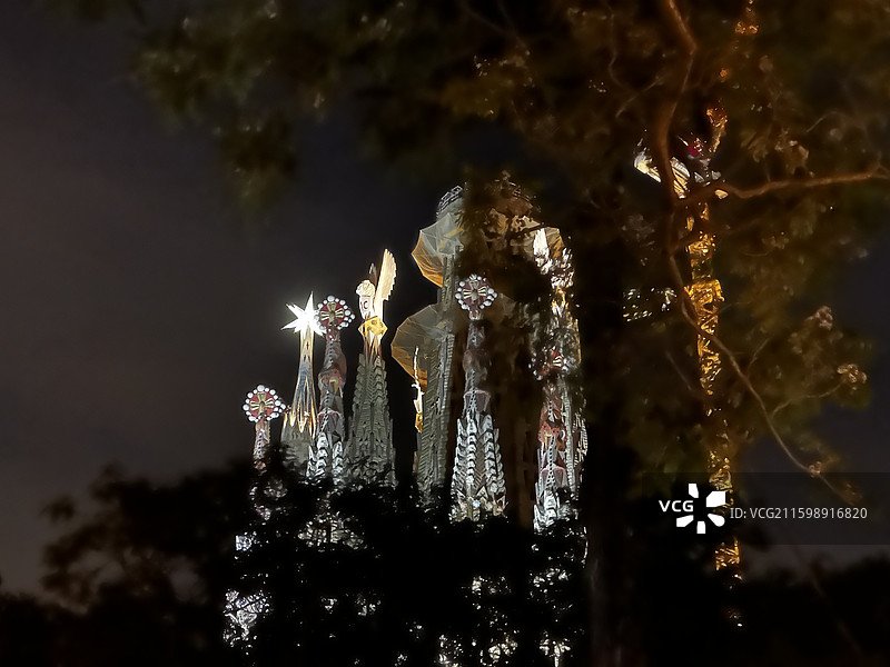 夜幕树丛掩映下的圣家族大教堂图片素材